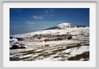 0316Mu_00_les_Estables_mont_Alambre