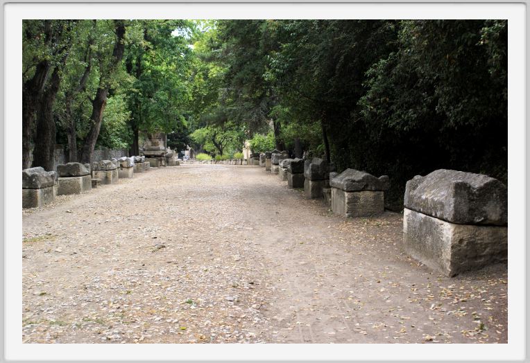 Arles - les Alyscamps