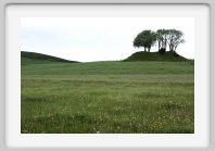 DSC05522_Aubrac