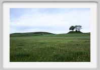 DSC05523_Aubrac