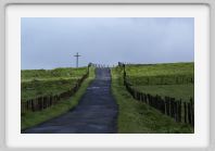 DSC05568_Aubrac