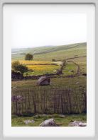 0019_23_Aubrac_printemps