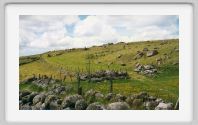 0161_18_Aubrac
