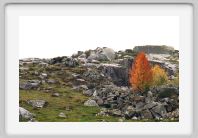 0468_17Ab_Aubrac_Automne_rochers