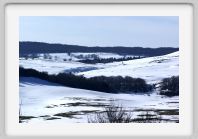 DSC02794_Aubrac_neige_bois