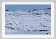 DSC02800_Aubrac_neige