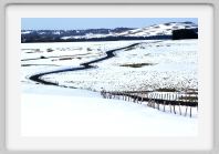 DSC02804_Aubrac_neige_route