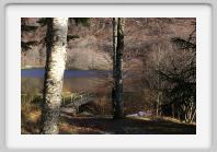 DSC02814_Aubrac_Lac_des_Picades
