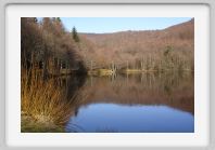 DSC02816_Aubrac_Lac_des_Picades