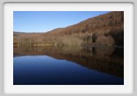 DSC02820_Aubrac_Lac_des_Picades
