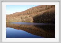 DSC02824_Aubrac_Lac_des_Picades