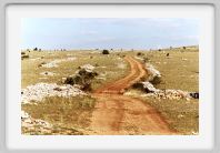 0534_28A_Causse_de_Sauveterre_chemin