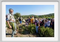 JZ2017_Fanfare_Montauriol_46