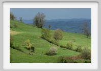 DSC02903_Lot