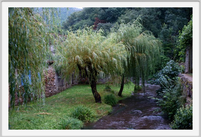 Durfort