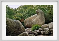 0460_24A_Oiehorizontal