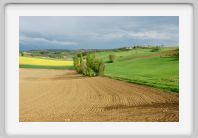 Bas_Quercy_14
