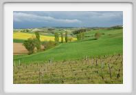 Bas_Quercy_15