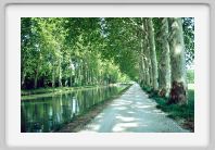 TG_Garonne_15