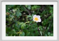 Marche_Rouergue_Causse_07